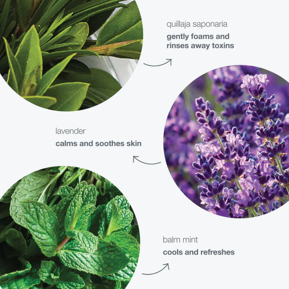 Dermalogica Special Cleansing Gel 250ml/8.4oz